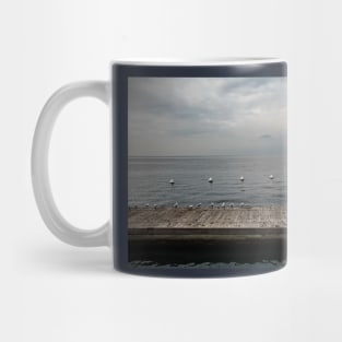 Torri del Benaco Waterfront Mug